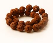 Rudraksha and Malas